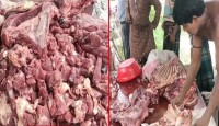 সাতক্ষীরায় মরা গরুর মাংস বিক্রি, ম্যাজিস...